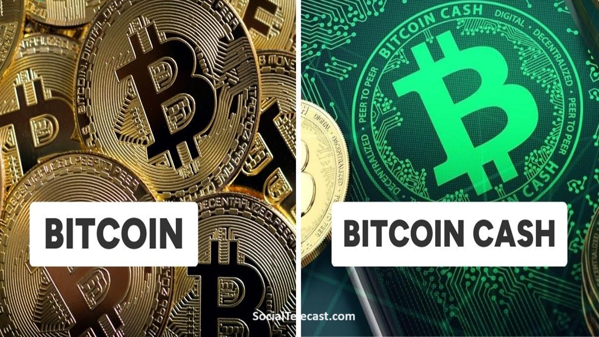 Bitcoin cash vs bitcoin